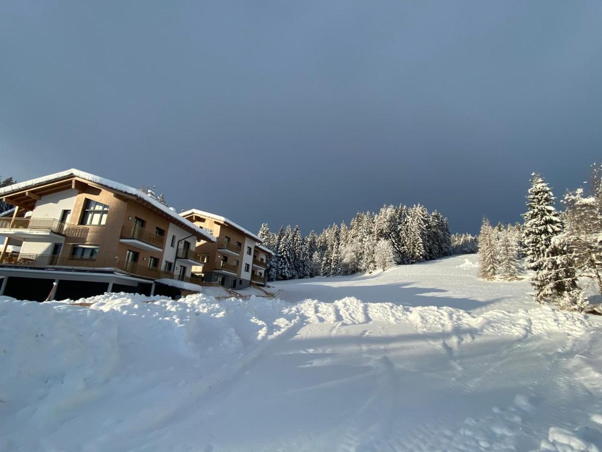Appartement Moderne Kaminstube à Ramsau am Dachstein Extérieur photo