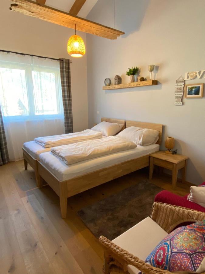 Appartement Moderne Kaminstube à Ramsau am Dachstein Extérieur photo